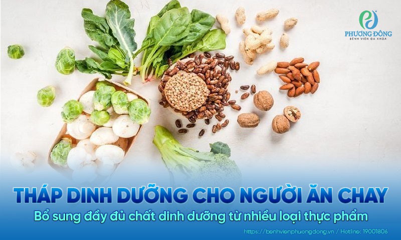 Tìm hiểu về tháp dinh dưỡng cho người ăn chay cân bằng, khoa học