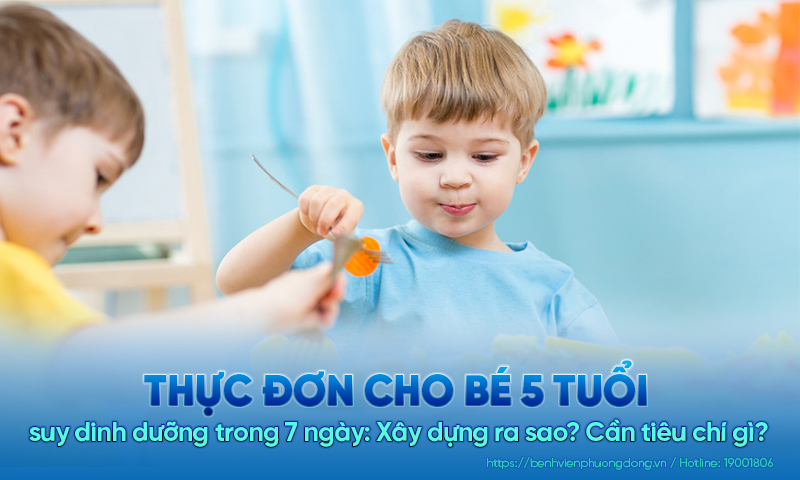 Thực đơn cho bé 5 tuổi suy dinh dưỡng trong 7 ngày: Xây dựng ra sao? Cần đảm bảo tiêu chí gì?