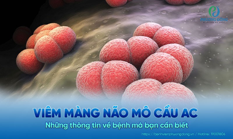 Viêm màng não mô cầu AC: Những thông tin mà bạn cần biết