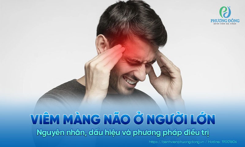 Viêm màng não ở người lớn: Nguyên nhân, dấu hiệu và cách điều trị