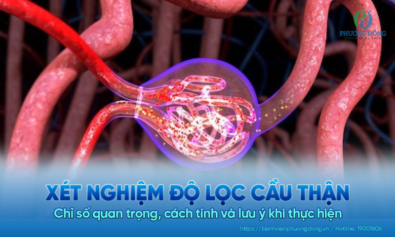 Xét nghiệm độ lọc cầu thận: Chỉ số quan trọng, cách tính và lưu ý khi thực hiện