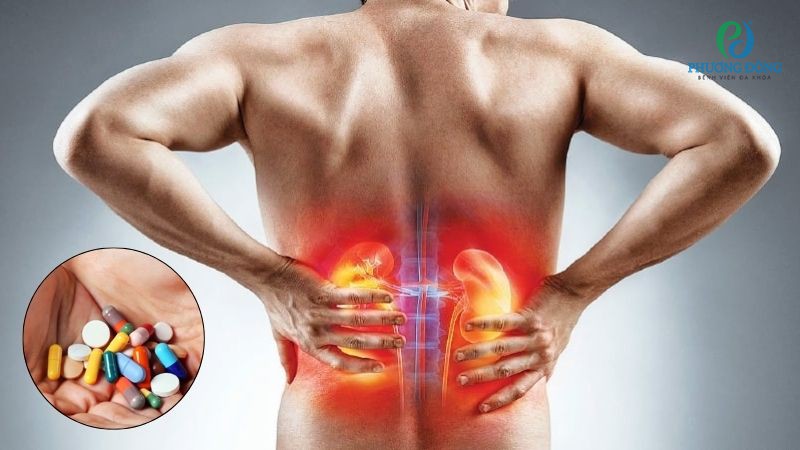 Một số nhóm thuốc Tây có tác động tiêu cực đến chức năng thận