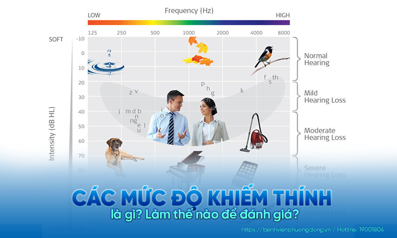 Các mức độ khiếm thính là gì? Làm thế nào để đánh giá? 