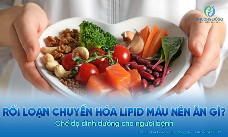 Rối loạn chuyển hóa lipid máu nên ăn gì? Không nên ăn gì?