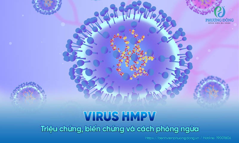 Virus HMPV: Triệu chứng, biến chứng và cách phòng ngừa