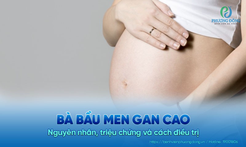 Bà bầu men gan cao: Nguyên nhân, triệu chứng và cách điều trị Bà bầu men gan cao: Nguyên nhân, triệu chứng và cách điều trị