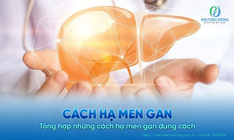 Tổng hợp những cách hạ men gan đúng cách mà bạn nên biết