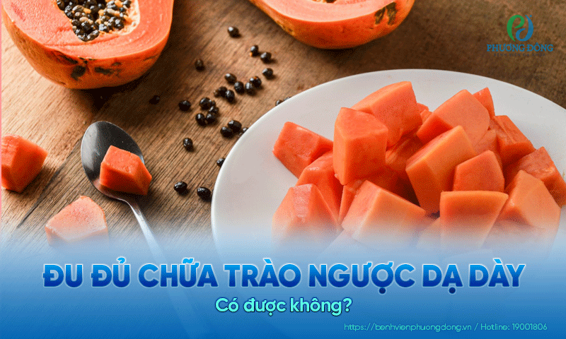 Đu đủ chữa trào ngược dạ dày có được không?