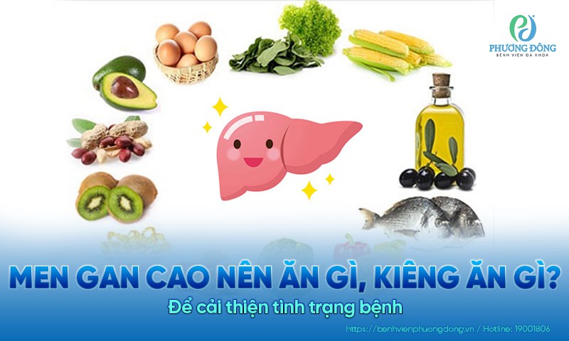 Men gan cao nên ăn gì, kiêng ăn gì để cải thiện tình trạng?