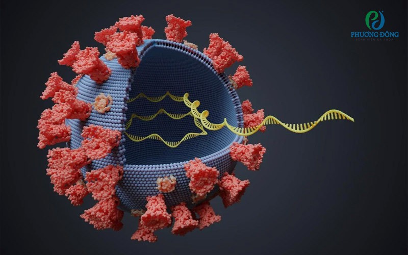 Nhiễm RSV ở người cao tuổi có bệnh nền
