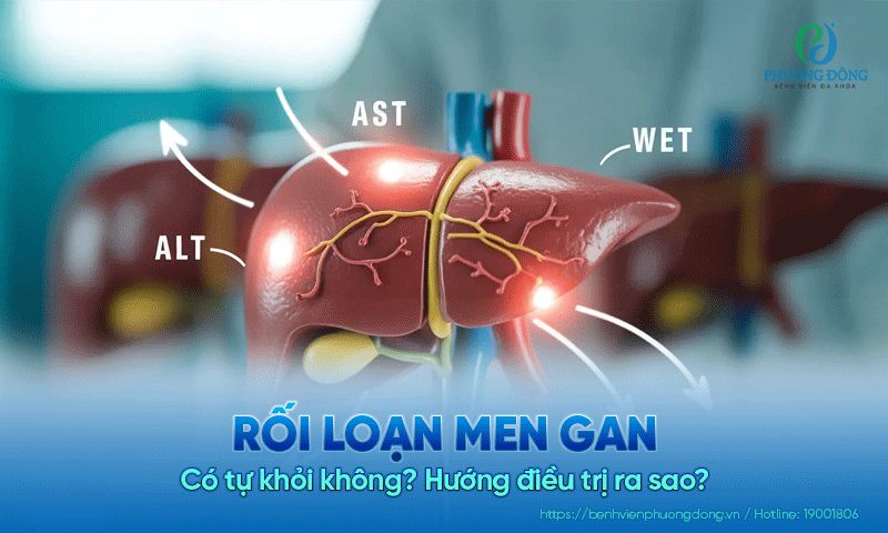 Rối loạn men gan là gì? Có tự khỏi không? Hướng điều trị ra sao?