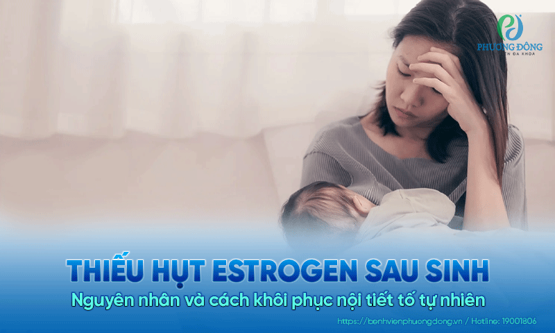 Thiếu hụt estrogen sau sinh: Nguyên nhân và cách khôi phục nội tiết tố tự nhiên Thiếu hụt estrogen sau sinh: Nguyên nhân và cách khôi phục nội tiết tố tự nhiên