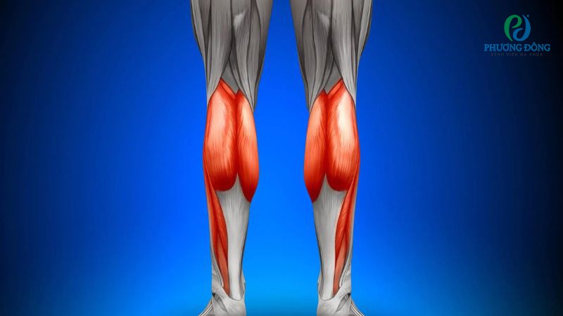 Biện pháp phòng ngừa bắp chân gặp các vấn đề căng thẳng, tổn thương