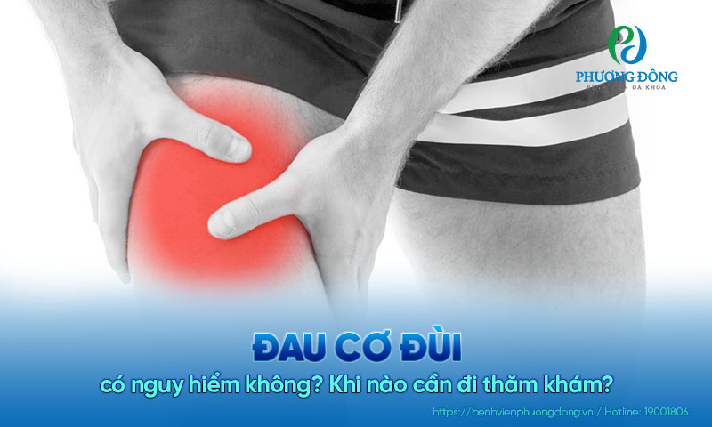 Đau cơ đùi có nguy hiểm không? Khi nào cần đi thăm khám? 