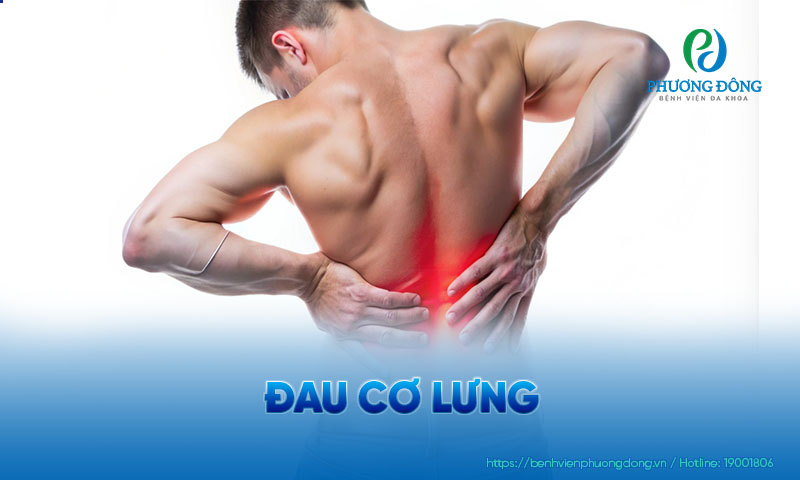 Các động tác kéo căng bẩt thường có thể khiến người bệnh bị đau cơ lưng