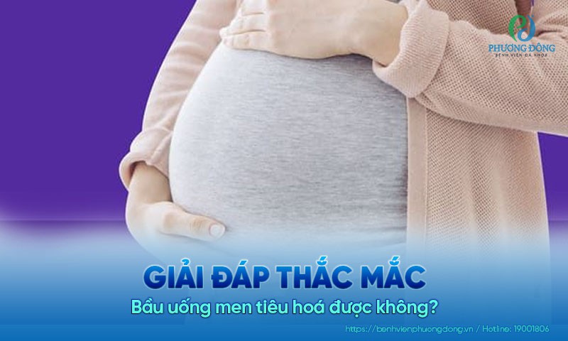 Bầu uống men tiêu hoá được không?