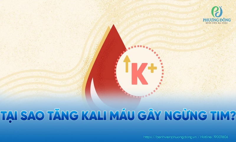 Tại sao tăng kali máu gây ngừng tim?