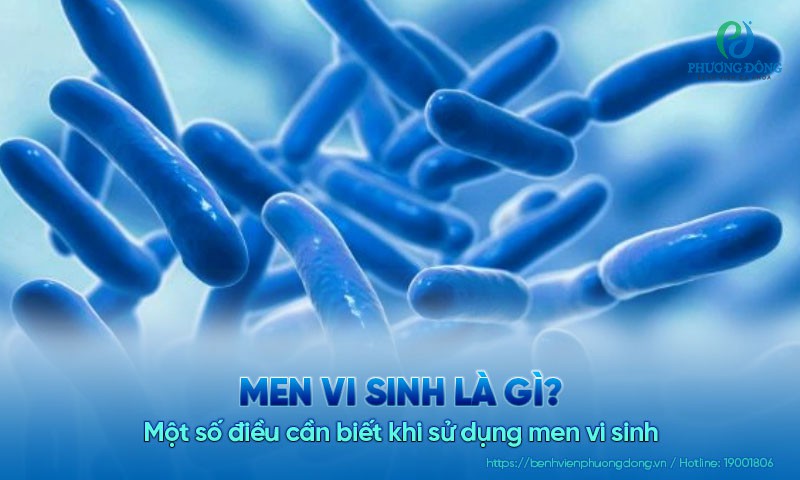 Men vi sinh là gì? Một số điều cần biết khi sử dụng men vi sinh