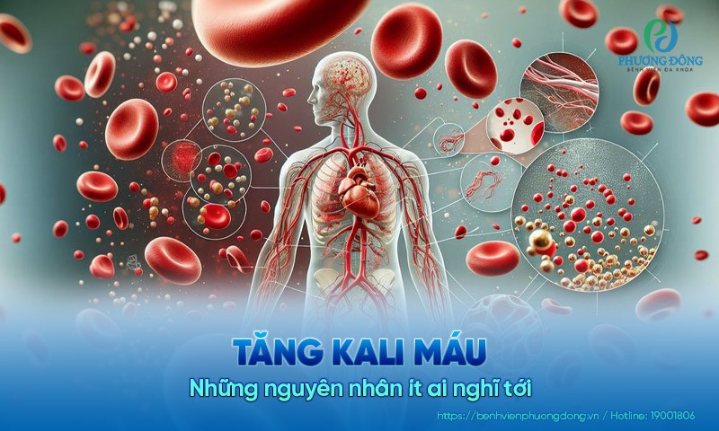 Tăng kali máu – Những nguyên nhân ít ai nghĩ tới
