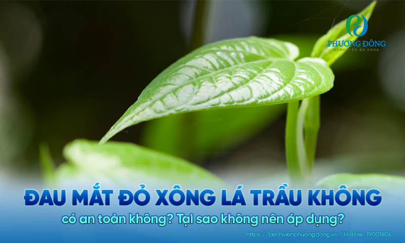 Đau mắt đỏ xông lá trầu không có an toàn không? Tại sao không nên áp dụng?