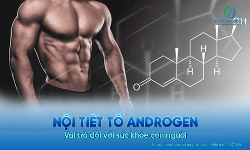 Nội tiết tố androgen là gì? Vai trò đối với sức khỏe con người