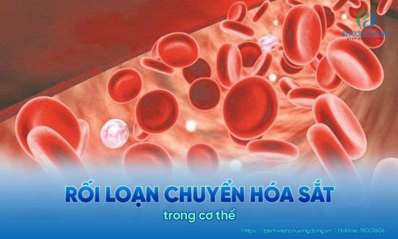 Tình trạng rối loạn chuyển hóa sắt trong cơ thể