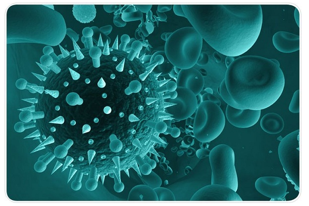 Virus hợp bào hô hấp RSV và vắc xin Abrysvo