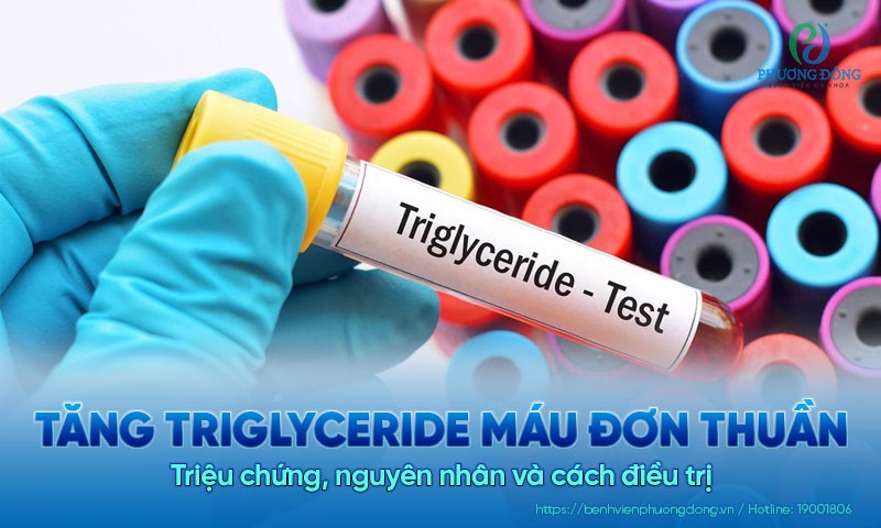 Tăng triglyceride máu đơn thuần là gì? Những thông tin hữu ích