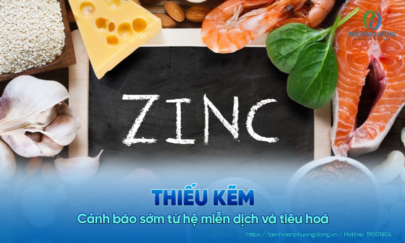 Thiếu kẽm: Cảnh báo sớm từ hệ miễn dịch và tiêu hoá