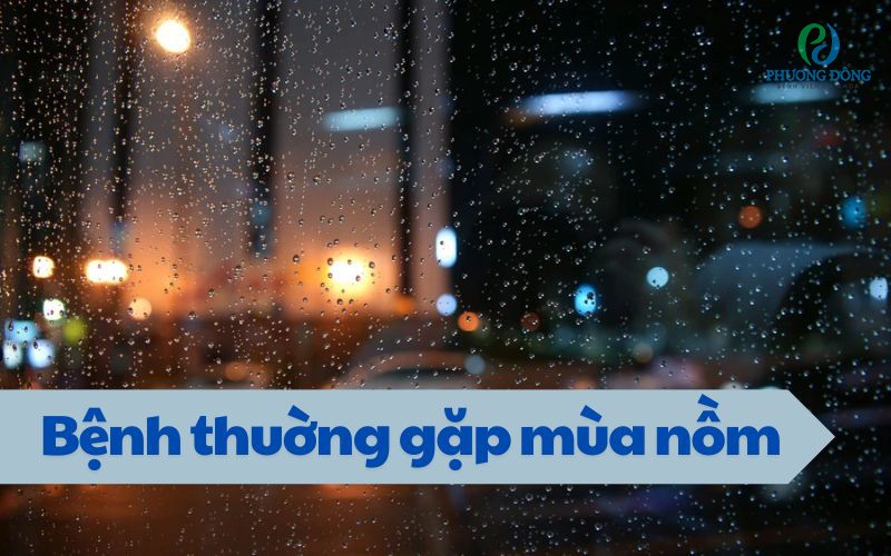 [Xem ngay] Những bệnh hay gặp mùa nồm ẩm