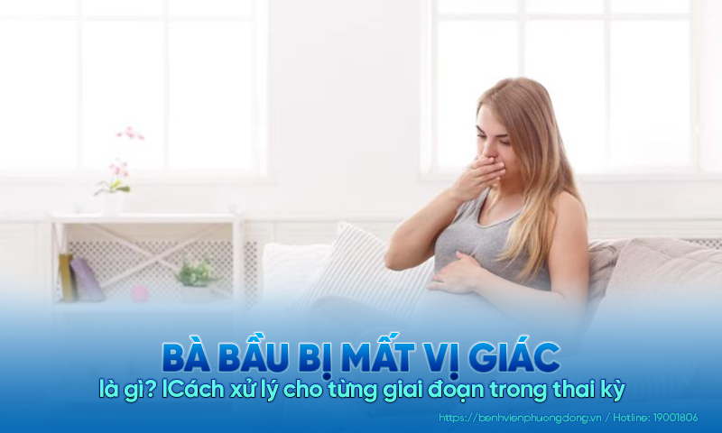 Bà bầu bị mất vị giác là gì? Cách xử lý cho từng giai đoạn trong thai kỳ