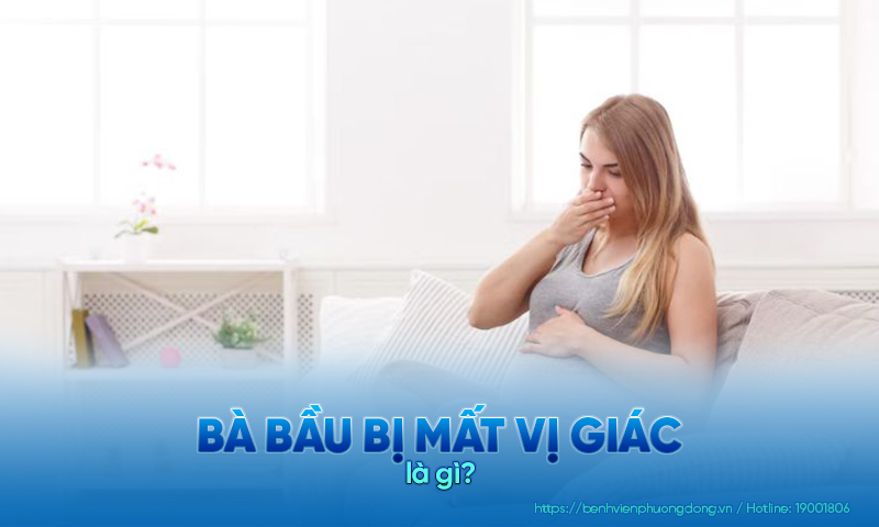 Mẹ bầu bị mất vị giác ảnh hưởng trực tiếp đến dinh dưỡng của cả mẹ và bé