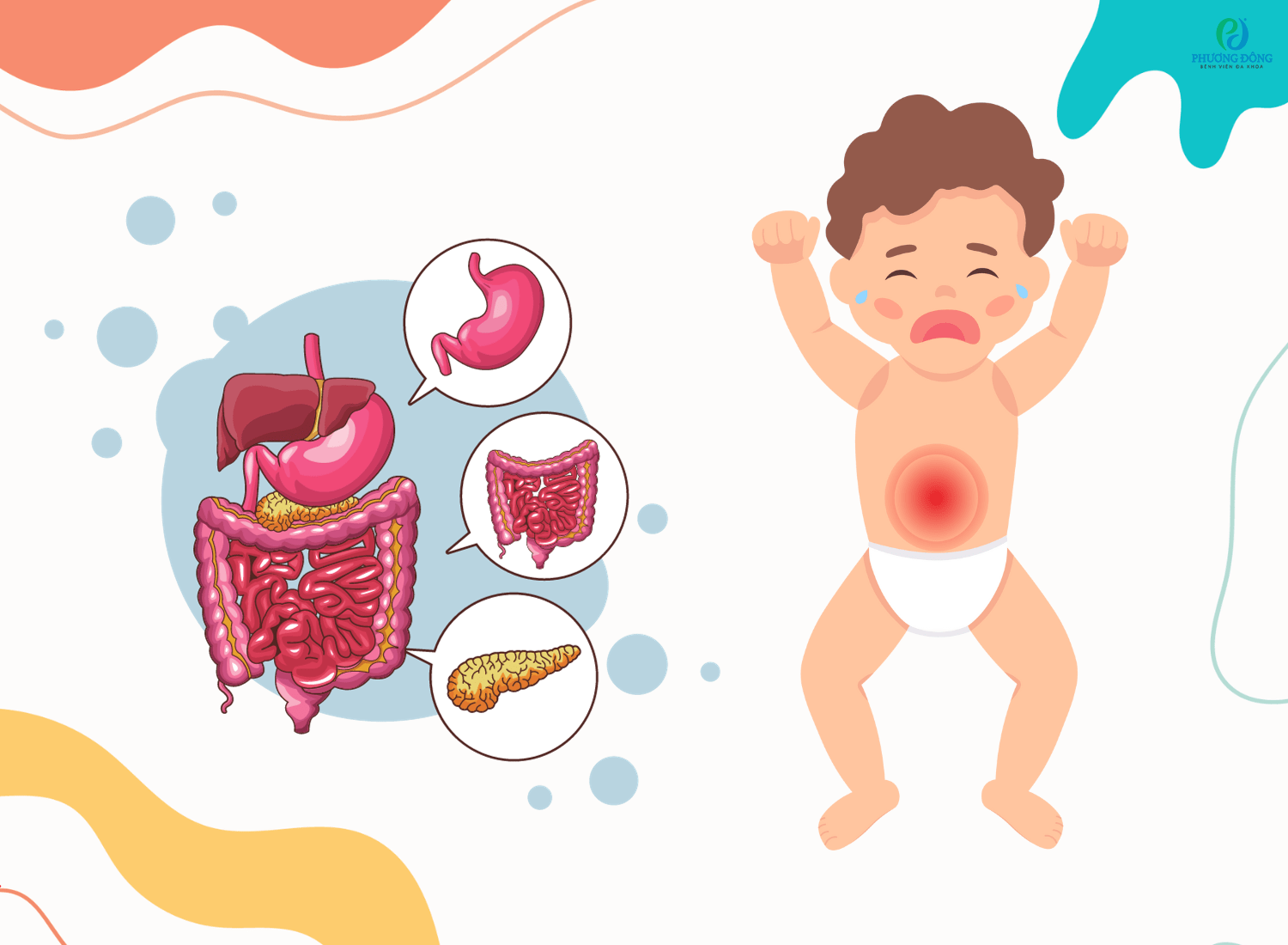 Hướng dẫn bảo vệ đường tiêu hóa cho trẻ sơ sinh 