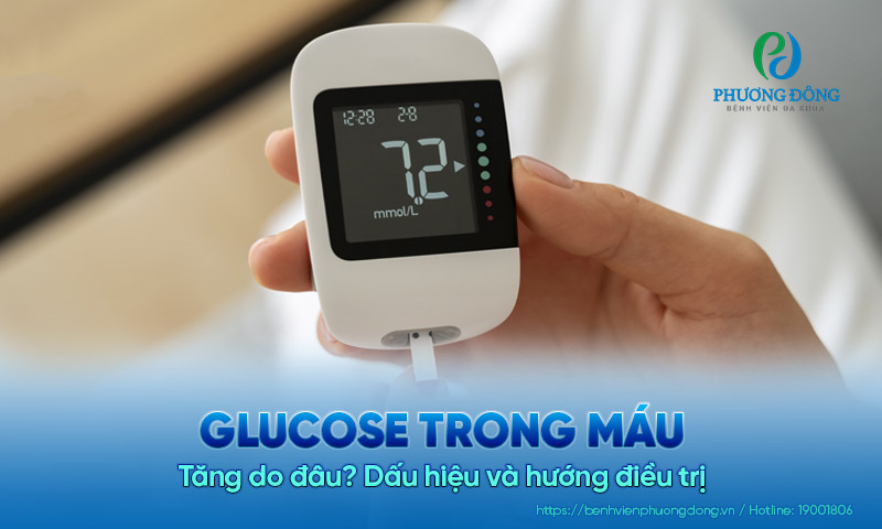 Glucose trong máu tăng do đâu? Dấu hiệu và hướng điều trị