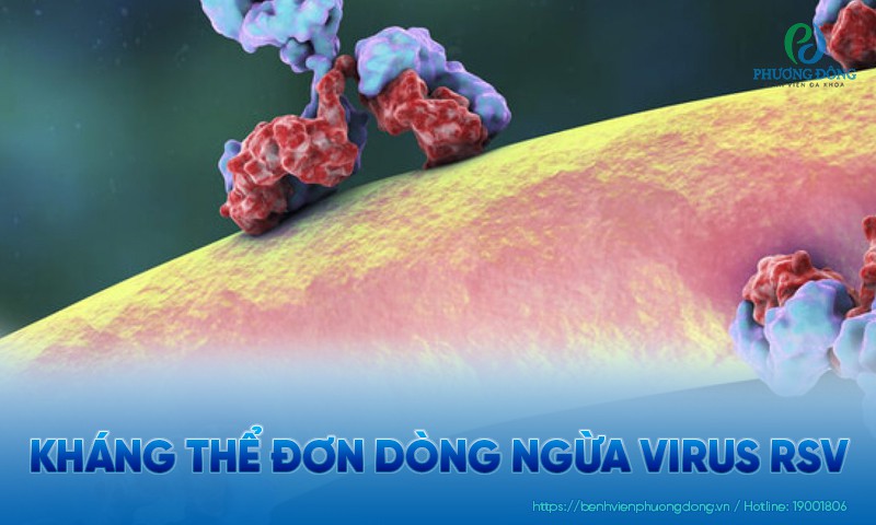 Kháng thể đơn dòng ngừa virus RSV là gì? Ai nên tiêm Synagis?