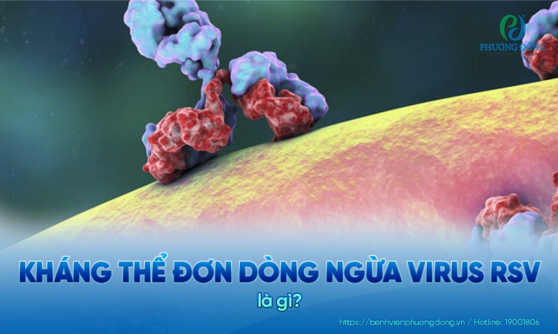 Kháng thể đơn dòng ngừa virus RSV là biện pháp dự phòng biến chứng nguy hiểm