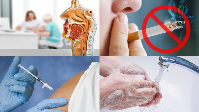 Chủ động phòng ngừa cuốn mũi phì đại tại nhà