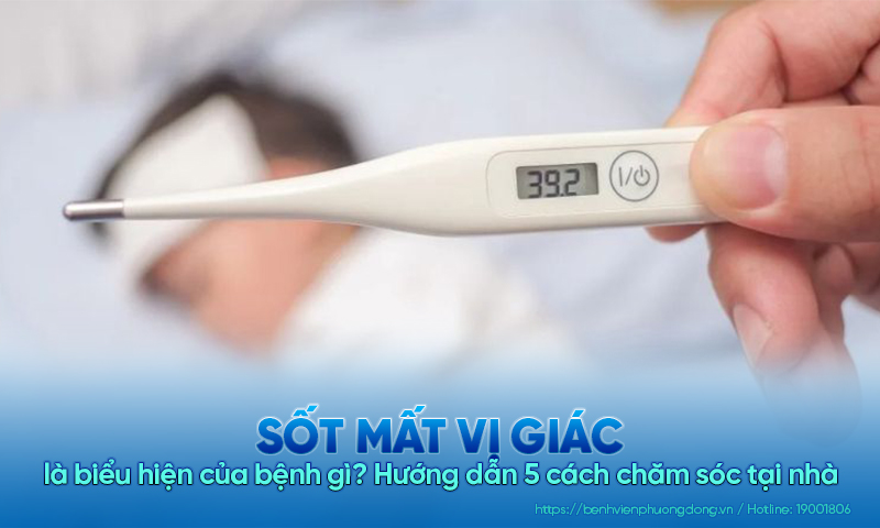 Sốt mất vị giác là biểu hiện của bệnh gì? Hướng dẫn 5 cách xử lý tại nhà