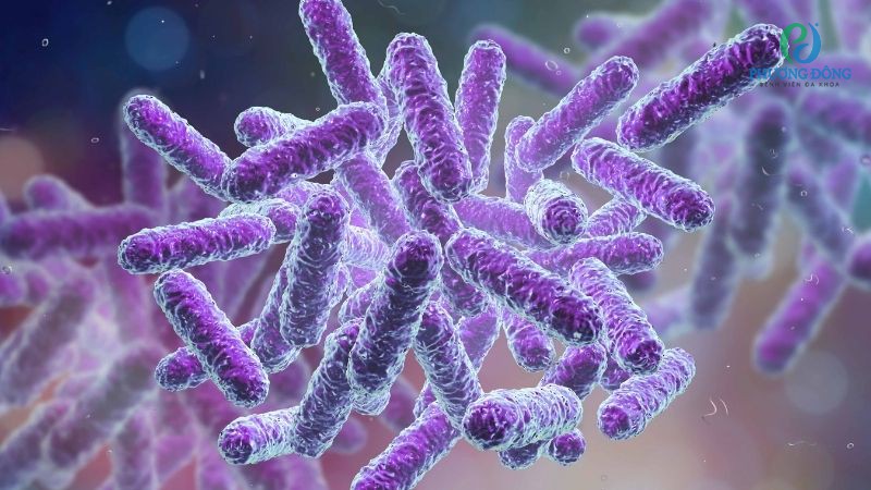 Viêm màng nhĩ bọng nước khởi phát bởi sự xâm nhập của virus, vi khuẩn