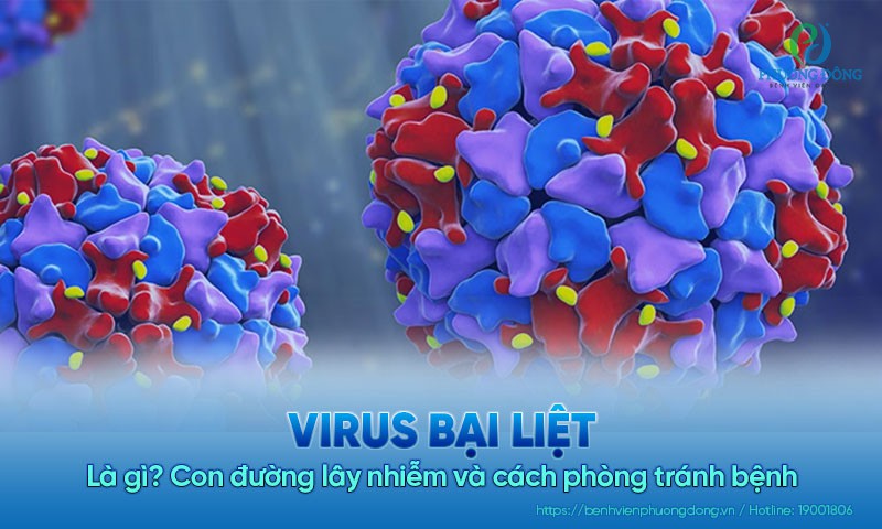 Virus bại liệt là gì? Con đường lây nhiễm và cách phòng tránh bệnh