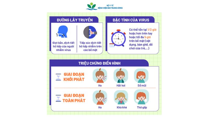 Một số đường lây truyền và đặc tính của virus (Nguồn: Bệnh viện Nhi TW)
