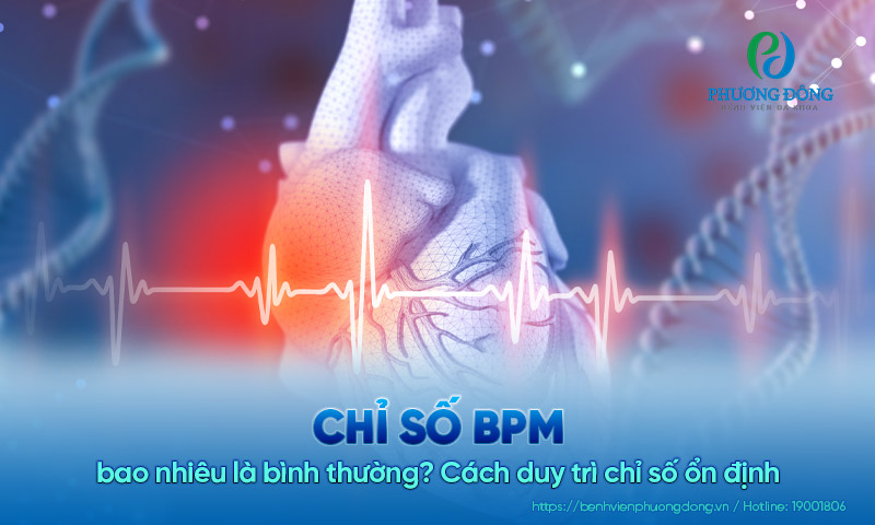 Chỉ số BPM bao nhiêu là bình thường? Cách duy trì chỉ số ổn định