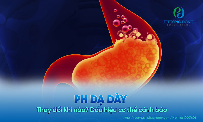 pH dạ dày thay đổi khi nào? Dấu hiệu cơ thể cảnh báo