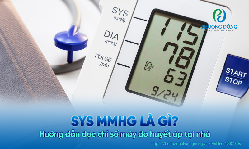 Sys mmHg là gì? Hướng dẫn đọc chỉ số máy đo huyết áp tại nhà