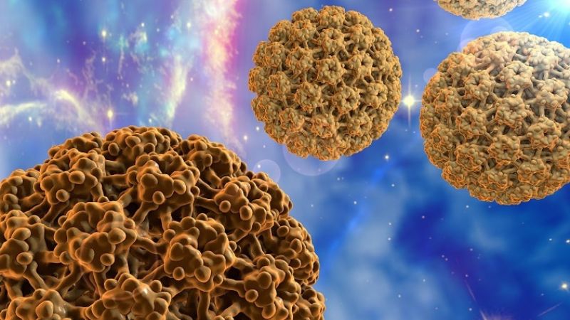 Virus HPV là nguyên nhân chính gây ra bệnh lý này