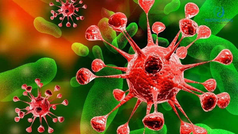 Viêm amidan cấp là một dạng dễ bị lây nhiễm bởi virus hoặc vi khuẩn