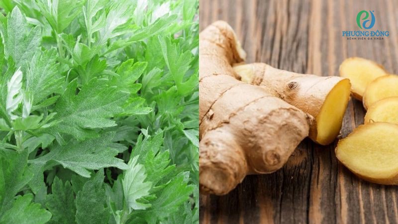 Chườm ấm khớp gối tràn dịch với ngải cứu và gừng