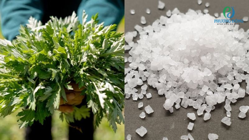 Chữa tràn dịch khớp gối bằng ngải cứu và muối hạt