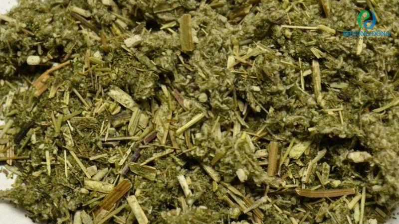 Sắc lấy nước ngải cứu uống trị tràn dịch khớp gối