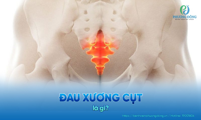 Đau xương cụt là hiện tượng đau nhức tại vùng xương hình tam giác nhỏ cuối cột sống